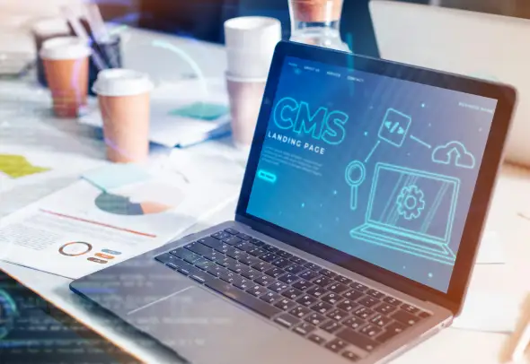 Expert WordPress Development Services Across the USA