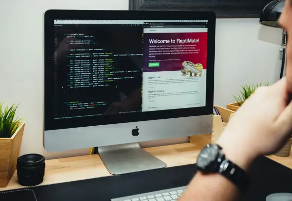 Professional PHP Development Services for the USA