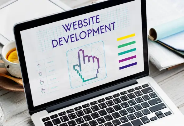 Professional Web Development Services for the USA
